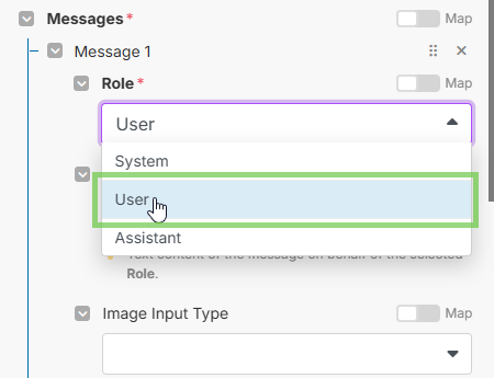 Image with the "User" role selection